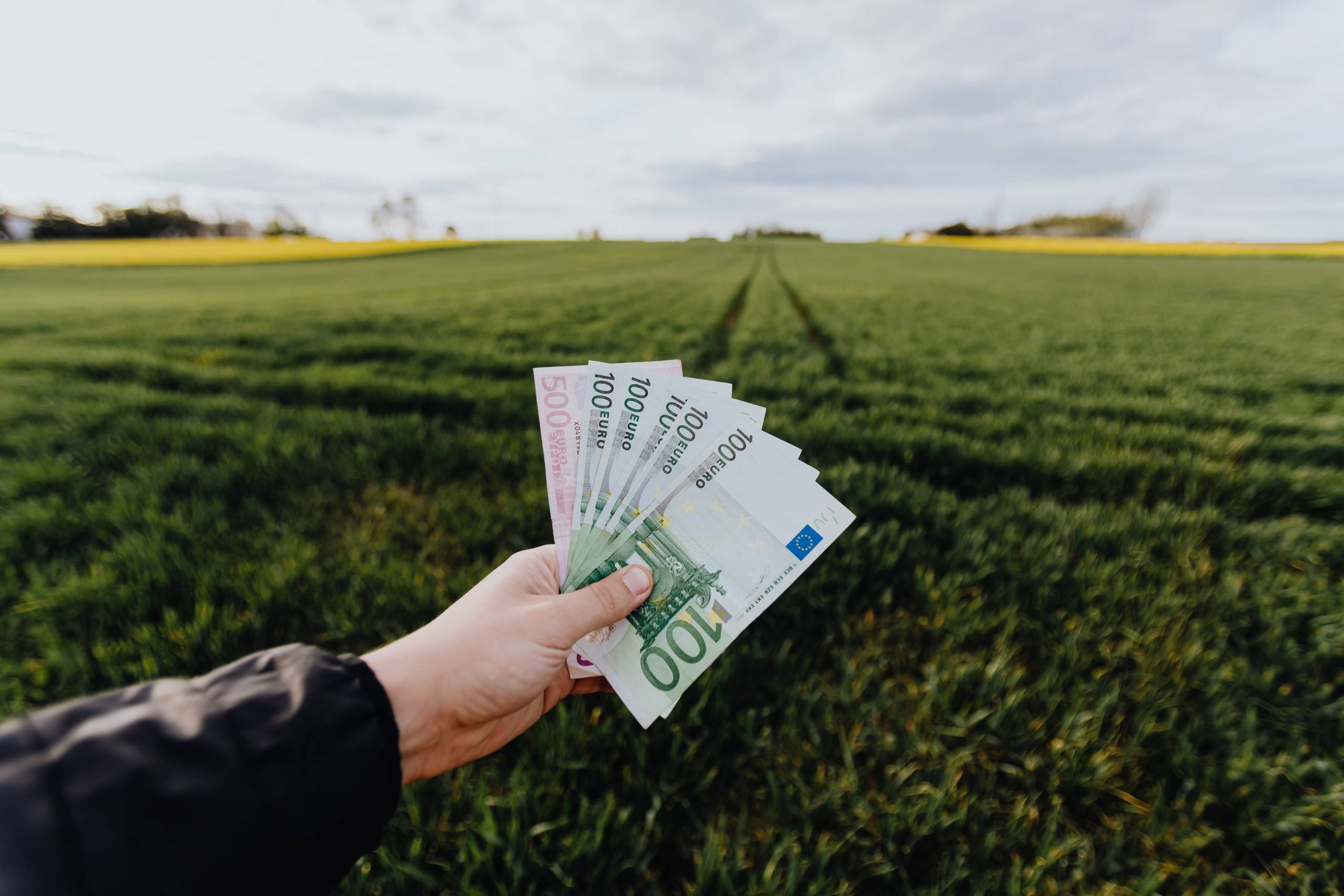 Finanziamenti e Aiuti per le PMI e micro-imprese